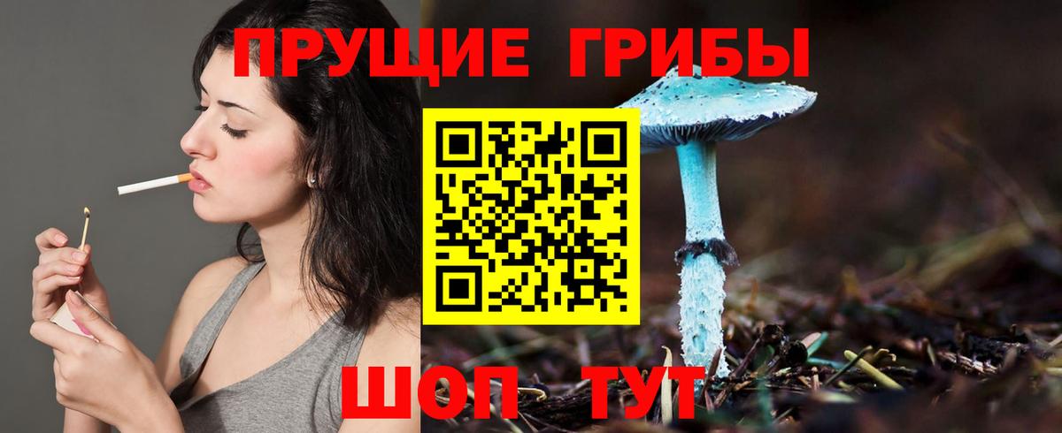 Новошахтинск  Псилоцибиновые грибы MAGIC MUSHROOMS  Вход с VPN 