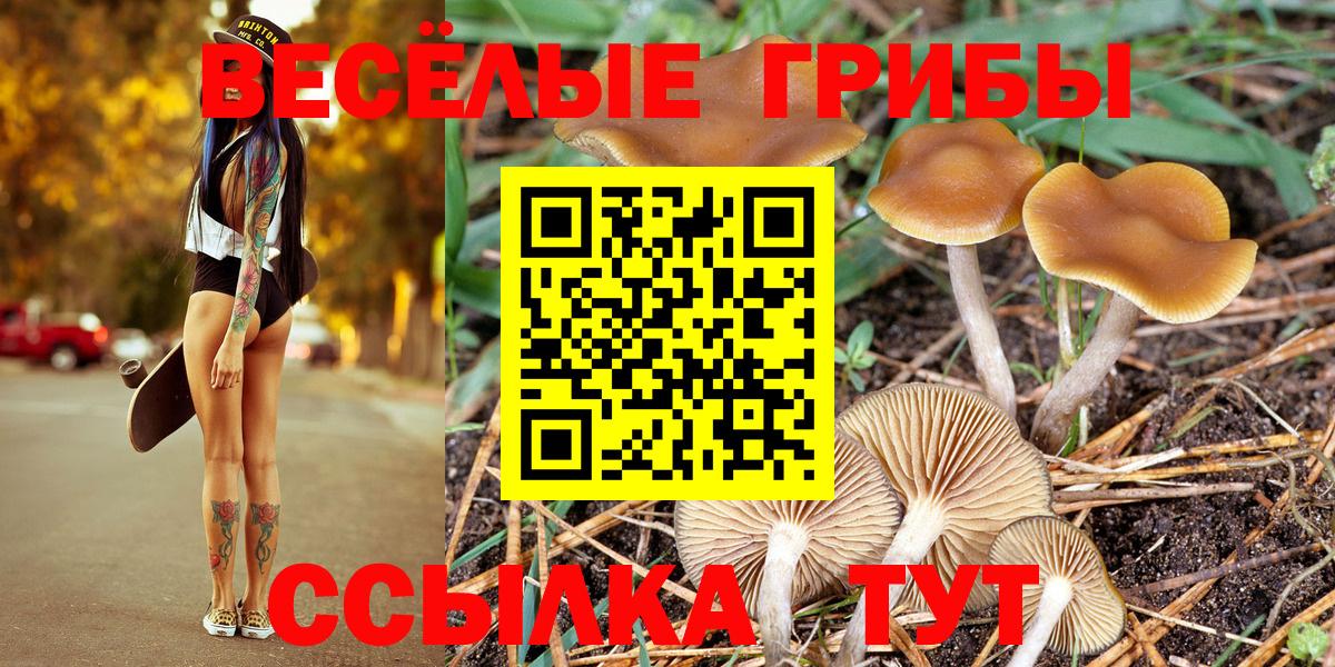 Галлюциногенные грибы прущие грибы Новошахтинск